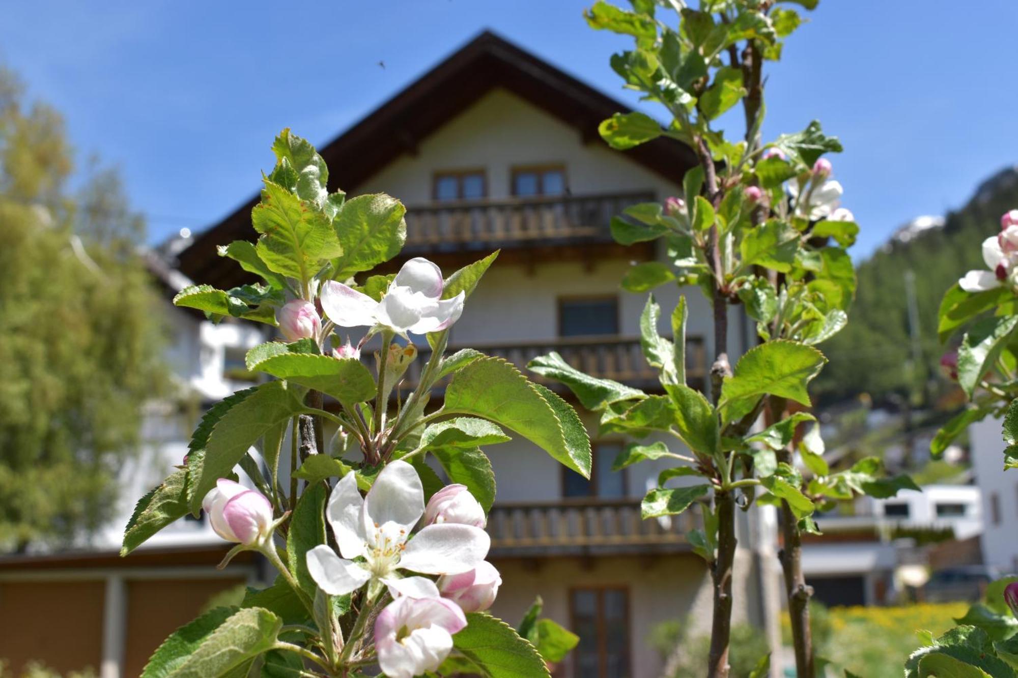 Hirschstube Nauders B&B 외부 사진